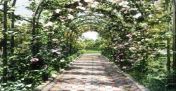 Godrej Habitat Sector-3, Gurgaon