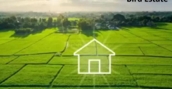 GLS Bird Estate Badsa