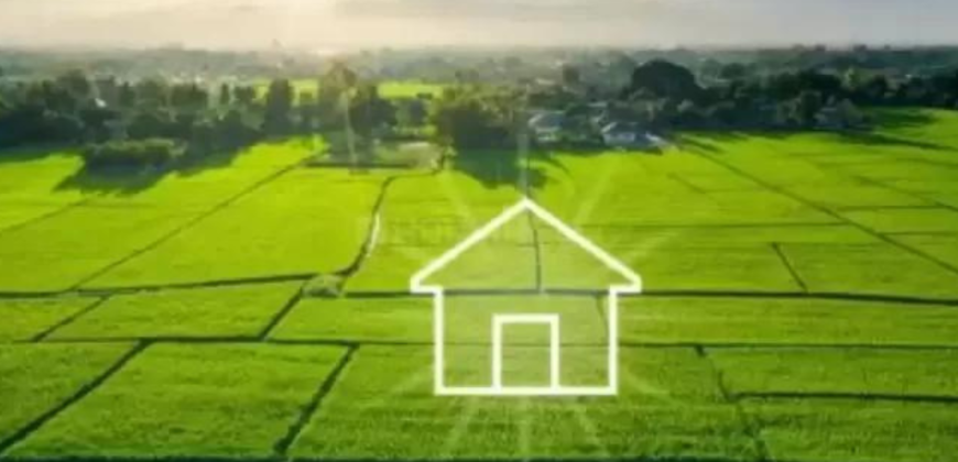 GLS Bird Estate Badsa