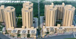 SIGNATURE GLOBAL IMPERIAL