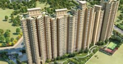 SIGNATURE GOLF GREENS