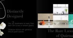 ATS TRIUMPH sector 104