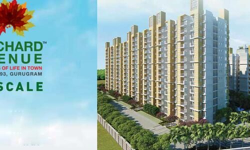 Signature Orchard Avenue